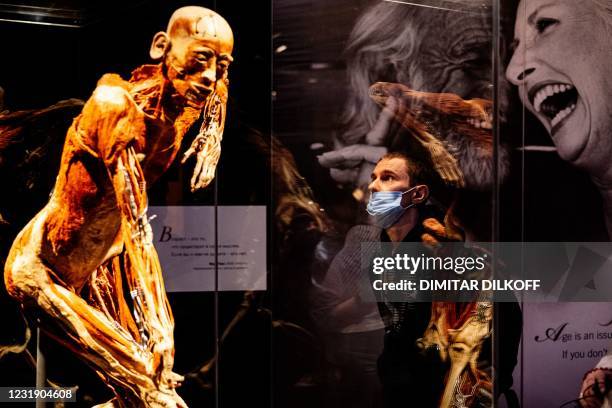 People visit the "Body Worlds", the anatomical exhibition of plastinated human bodies by German anatomist Gunther von Hagens, in Moscow on March 24,...