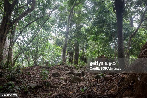 The remains of the slave fort in Dublin, on Sierra Leone's Banana Islands. The Banana Islands were once a slave trading port. They are now home to a...