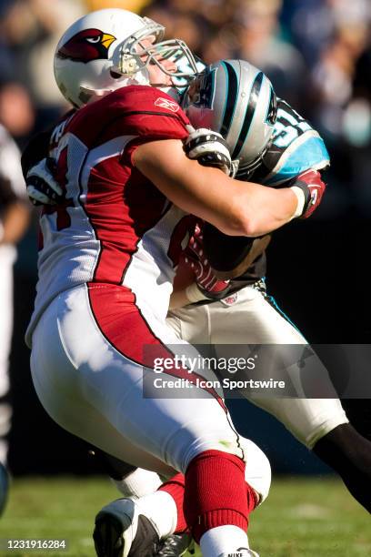 Arizona Cardinals tight end Jerame Tuman is tackled by Carolina Panthers cornerback Richard Marshall during an NFL football game at Bank of America...