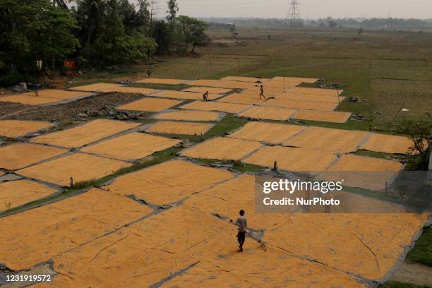 Farmer spreads rice for drying at a rice mill on the outskirts of Kolkata, India, on March 24,2021.