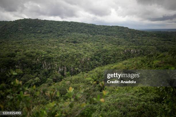 General view of the el Raudal del guayabero in Guaviare, Colombia, on March 25, 2021. Rock paintings made in South America around 8,000 - 12,000...