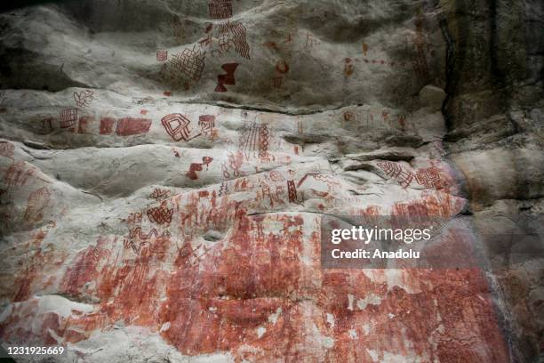 Rock art is seen at el Raudal del guayabero in Guaviare, Colombia, on March 25, 2021. Rock paintings made in South America around 8,000 - 12,000...