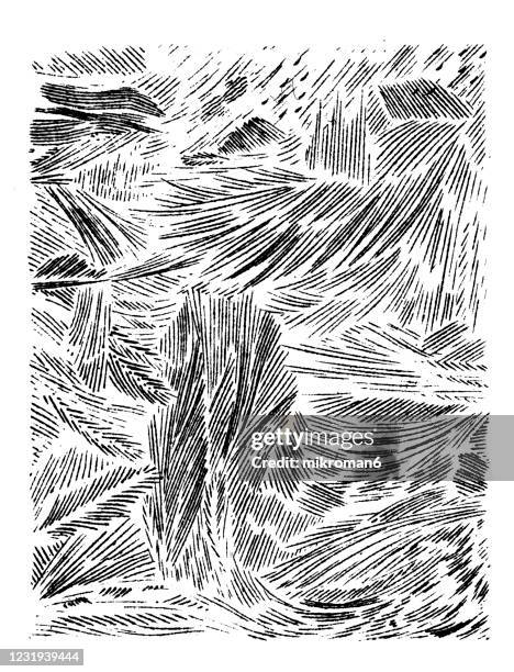 antique illustration of various formations of hoar frost - woodcut stock-fotos und bilder