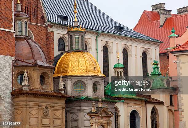 detail view of cathedral. - wawel cathedral stock pictures, royalty-free photos & images