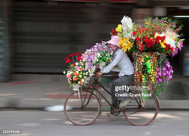 woman riding bicycle with flowers. - quantity stock pictures, royalty-free photos & images