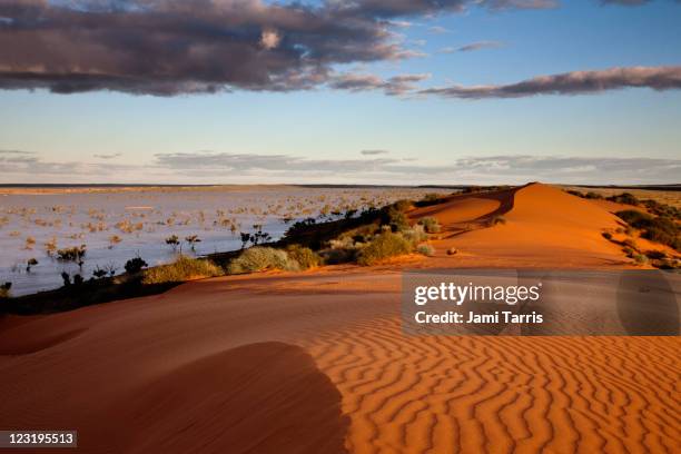 flood waters between desert dunes - simpson desert stock-fotos und bilder