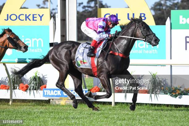 Fighting Harada ridden by Dean Yendall wins the No Fuss Event Hire BM78 Handicap at Bendigo Racecourse on March 27, 2021 in Bendigo, Australia.