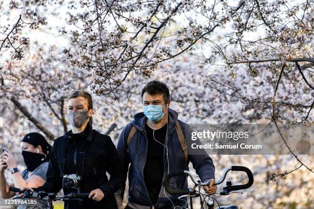 People walk amongst the blooming Japanese Cherry Blossom trees along the Tidal Basin on March 27, 2021 in Washington, DC. Officials have warned that...