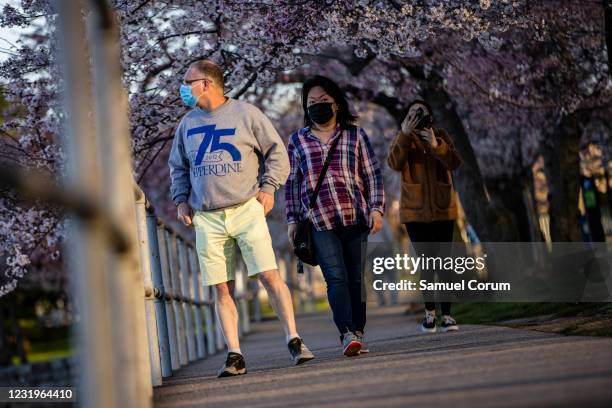 People walk amongst the blooming Japanese Cherry Blossom trees along the Tidal Basin on March 27, 2021 in Washington, DC. Officials have warned that...