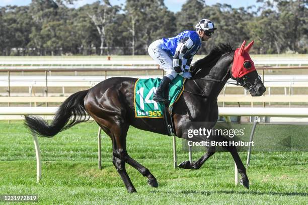 Ironclad ridden by Jamie Kah prior to the bet365 Golden Mile at Bendigo Racecourse on March 27, 2021 in Bendigo, Australia.