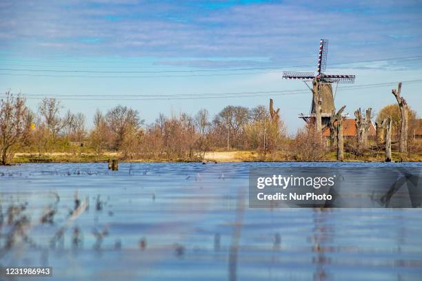 De Hompesche Molen during a blue sky spring season day. The 300-year-old grain windmill, national monument in the Netherlands, the highest tower wind...