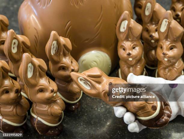 March 2021, Brandenburg, Hornow: Chocolate Easter bunnies are on display at Confiserie Felicitas GmbH. Chocolate is known to make people happy: even...