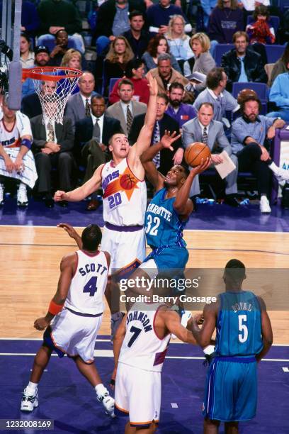 Marko Milic of the Phoenix Suns plays defense against Travis Williams of the Charlotte Hornets during the game at US Airways Center on February...