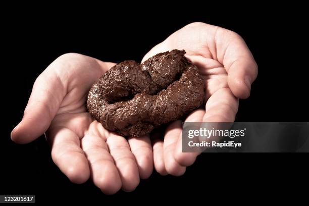dog poo offering - stool stock pictures, royalty-free photos & images