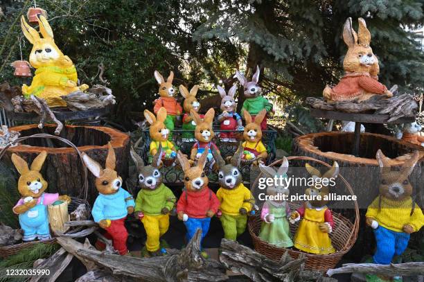March 2021, Brandenburg, Straupitz: Countless Easter bunny figures stand in a garden. Gisela Liebsch and her husband Gerd Mörl have been collecting...