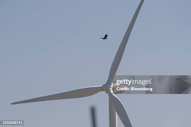 Bird flies over a wind turbine at a wind farm near Highway 12 in Rio Vista, California, U.S., on Tuesday, March 30, 2021. President Biden's $2.25...