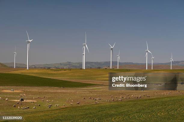 Sheep graze near wind turbines at a wind farm near Highway 12 in Rio Vista, California, U.S., on Tuesday, March 30, 2021. President Biden's $2.25...