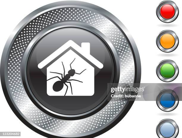 termite royalty free vector art on metallic button - termites stock illustrations