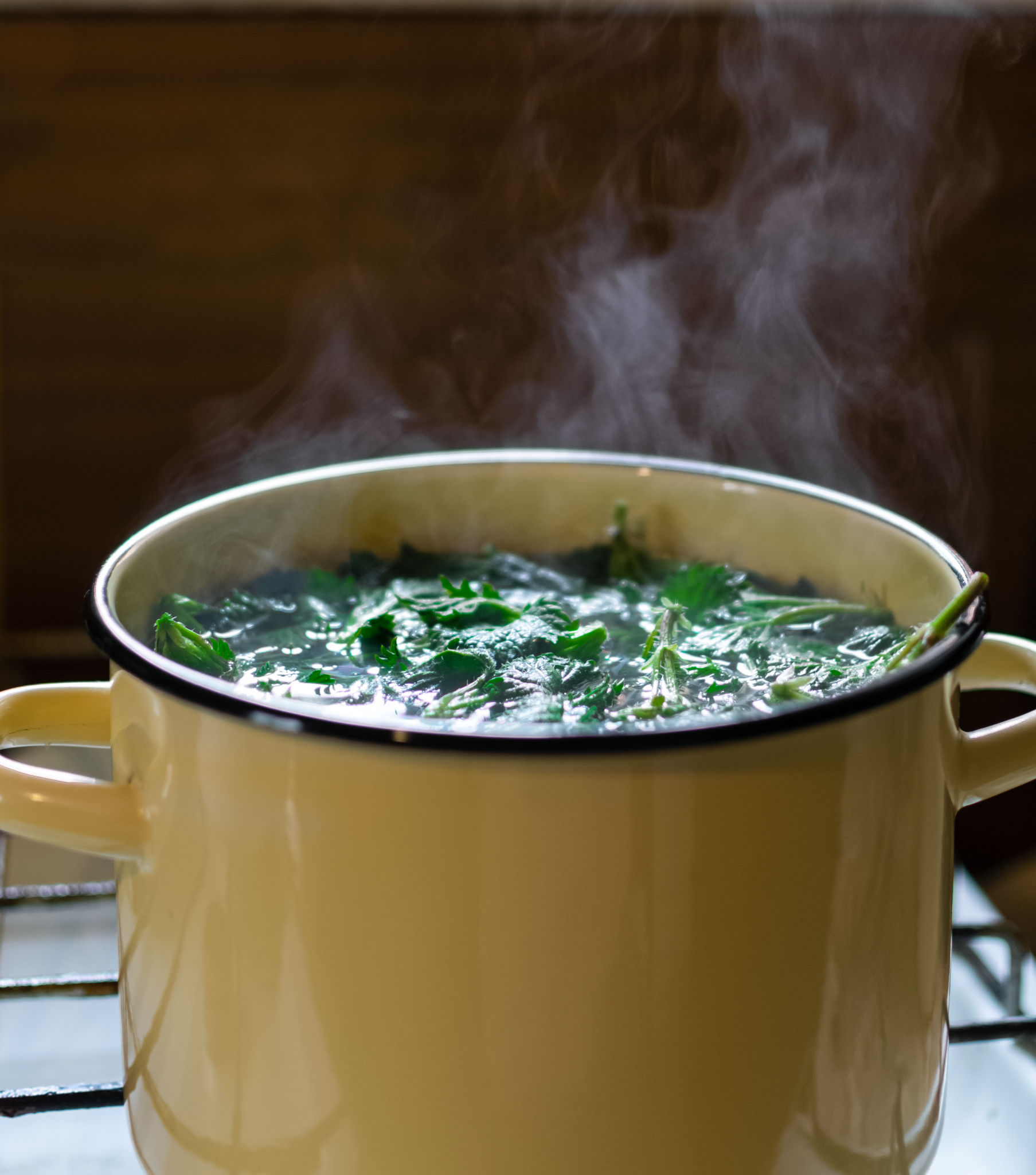 boiling herbs