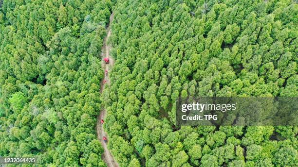 The mobile forest wardens patrol in the forest to prevent the forest fire on 01th April, 2021 in Suining,Sichuan,China
