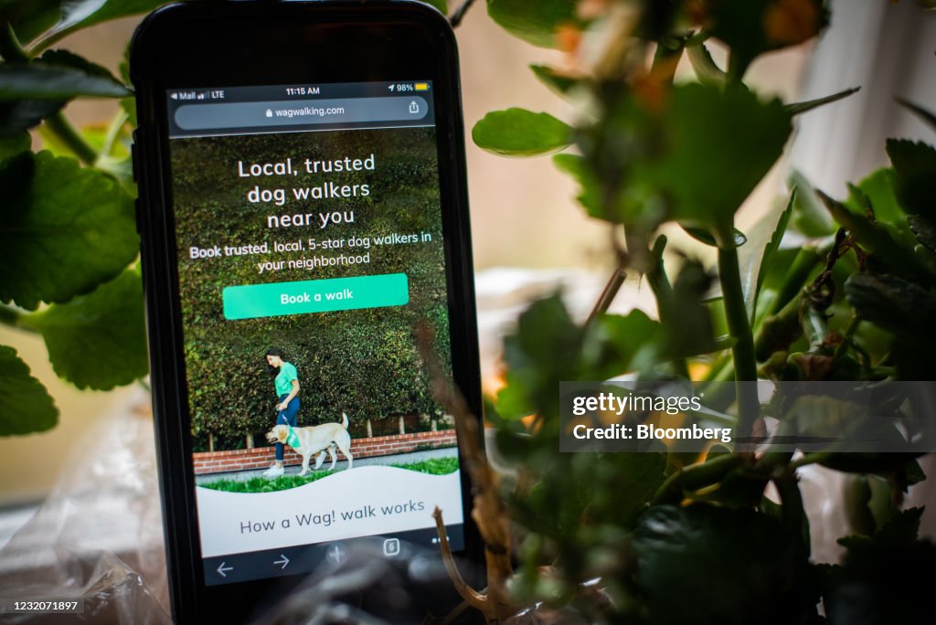 All Those Pandemic Puppies Mean Business For Dog-Walking Apps