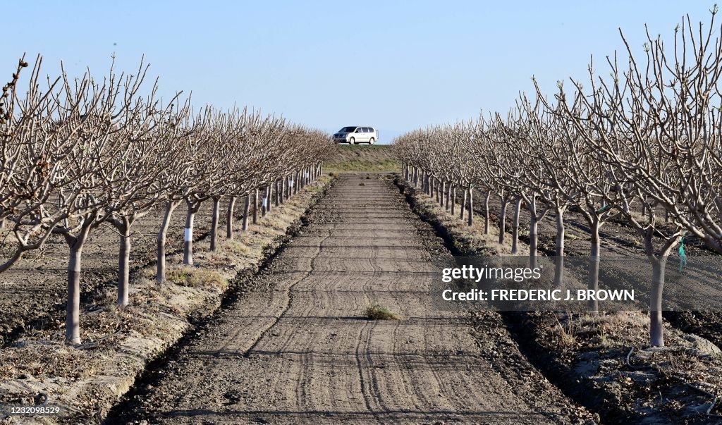 US-ENVIRONMENT-DROUGHT-AGRICULTURE