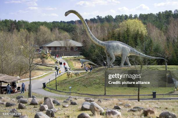 April 2021, Brandenburg, Oranienburg/ Ot Germendorf: Visitors to the Animal, Leisure and Prehistoric Park walk past a Mamenchisaurus in sunny spring...