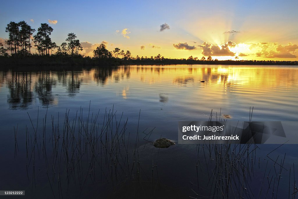 Pine Glades lago al atardecer