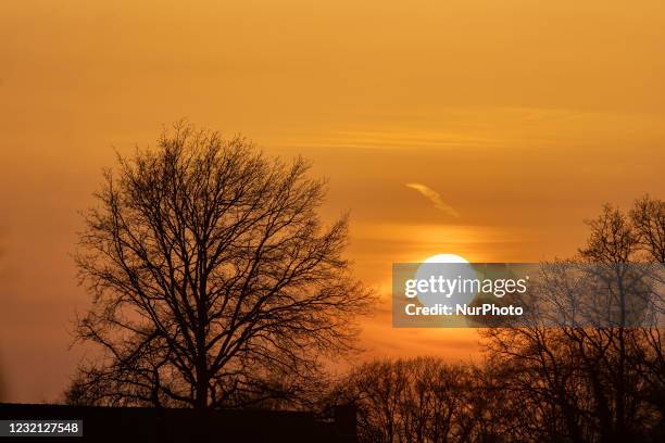 Spring season sunset time in the Netherlands. The Sun, the star of our Solar System as seen as a perfect sphere behind the silhouette of the trees...