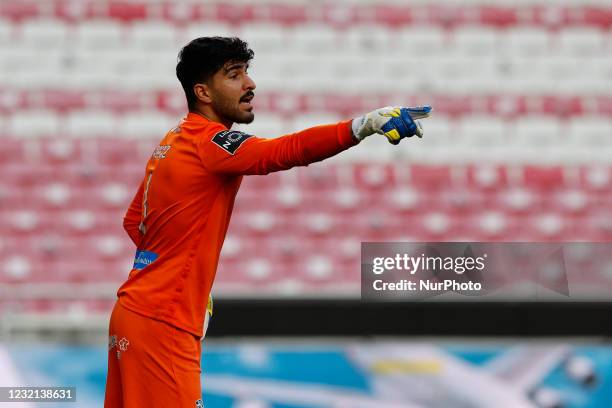 Amir Abedzadeh giving some instructions during the game for Liga NOS between SL Benfica and Maritimo, at Estadio da Luz, Lisboa, Portugal April, 2021