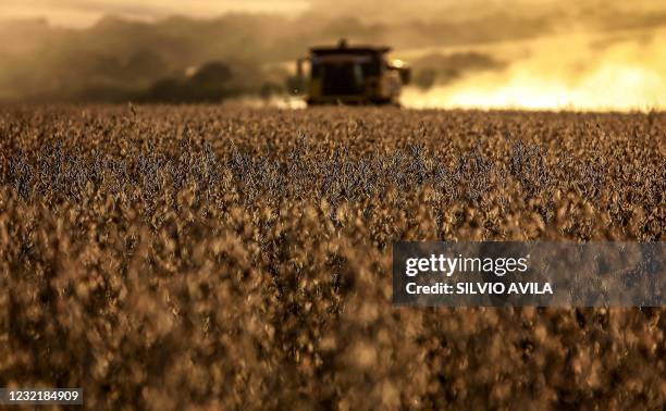 Combine harvester crops soybeans in a field at Salto do Jacui, in Rio Grande do Sul, Brazil, on April 7, 2021. - Rio Grande do Sul is the...