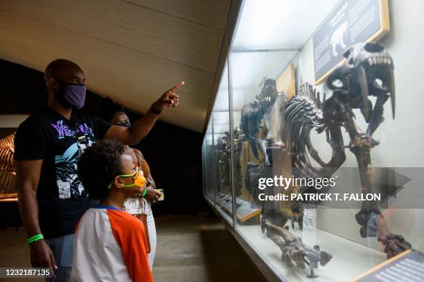 Visitors tour a California Saber-Tooth fossil exhibit on the reopening day of the George C. Page Museum at the La Brea Tar Pits, which was closed...