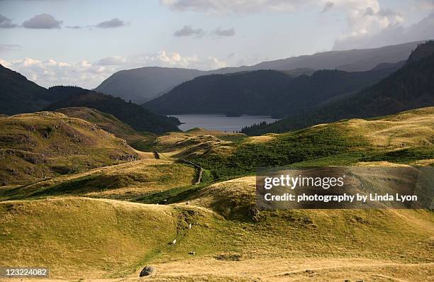 High Rigg Farm 60 High Rigg Stock Photos, High-Res Pictures, and Images - Getty Images