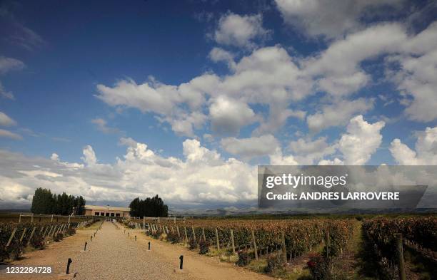 Picture of the vineyard of Salentein, a winery in the Uco Valley, Tupungato Department, in the Argentine province of Mendoza, taken on April 1, 2021....