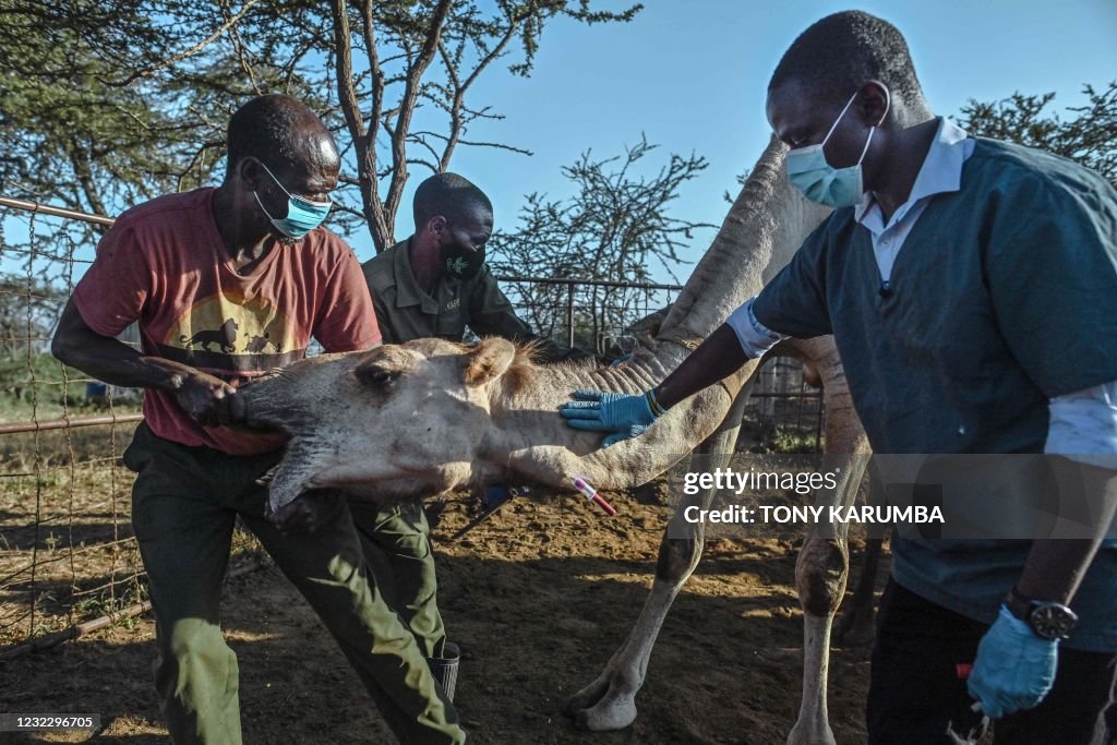 KENYA-HEALTH-VIRUS-ENVIRONMENT-RESEARCH