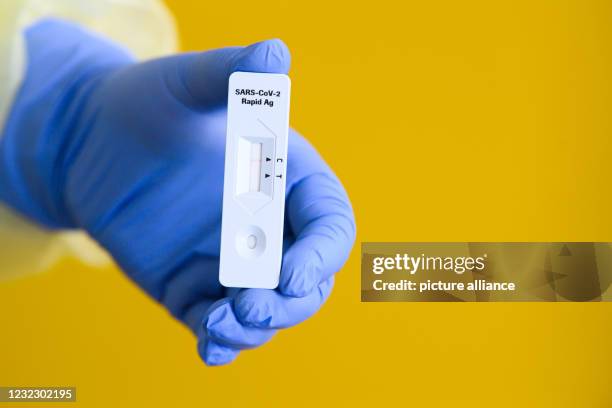 April 2021, Saxony, Glashütte: An employee of the Nomos watch manufactory holds a test cassette with a negative result from her colleague after a...