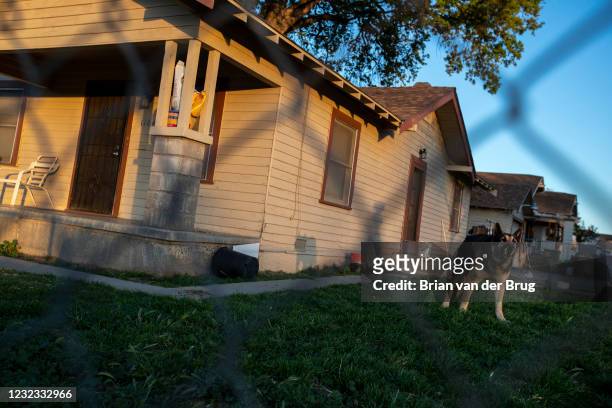Dog barks in the yard of a home near the California Dairies on Wednesday, March 24, 2021 in Fresno, CA.