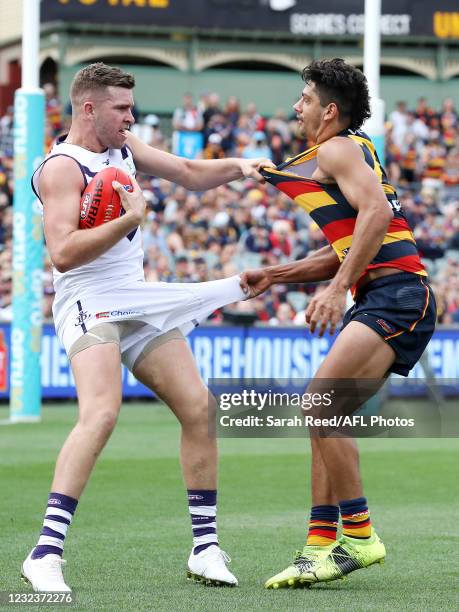 Luke Ryan of the Dockers and Shane McAdam of the Crows in action during the 2021 AFL Round 05 match between the Adelaide Crows and the Fremantle...