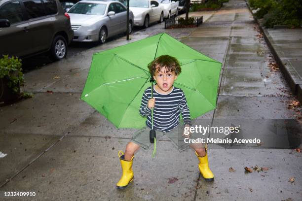 1,969 Funny Umbrella Photos and Premium High Res Pictures - Getty Images 1,969 Funny Umbrella Photos and Premium High Res Pictures - Getty Images