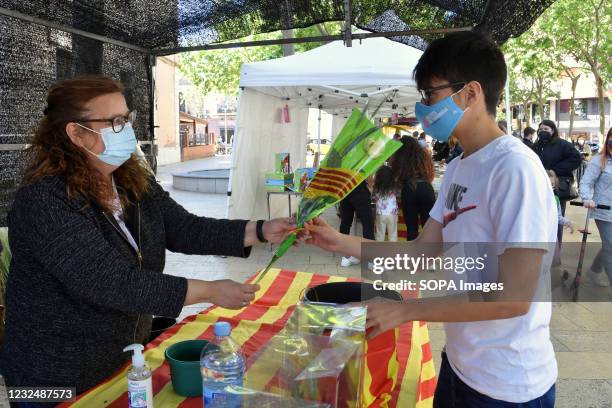 Young man buys a rose at a store in L'Hospitalet during the feast of Saint George. April 23 is Saint George's Day its a tradition in Catalonia in...