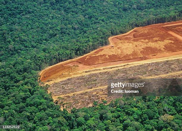 abholzung in den amazonas - brasilien stock-fotos und bilder