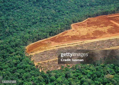 森林破壊、アマゾン 森林破壊、アマゾン