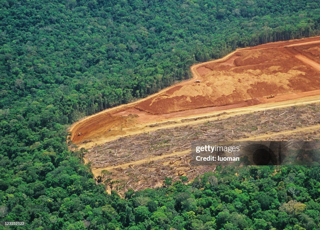 Desmatamento na Amazônia