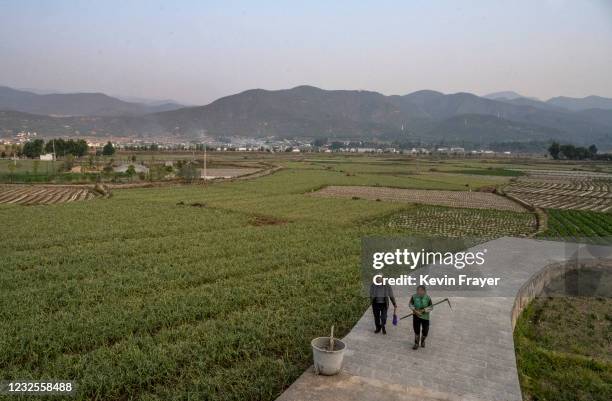 April 27: Local farmers walk on a road near their fields on April 27, 2021 in the ancient tea horse road town of Shaxi, Yunnan province, China....
