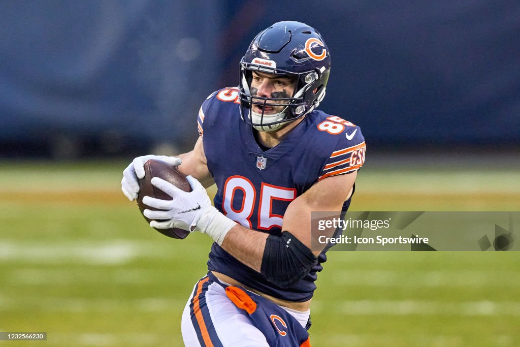 NFL: JAN 03 Packers at Bears