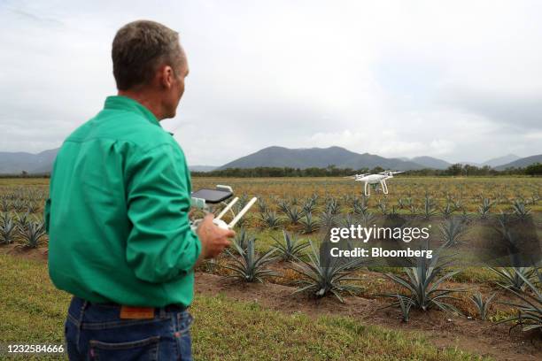 Drone fitted with a multi-spectral camera records the crop health and plant growth of blue agave plants at a plantation, operated by Prospect...
