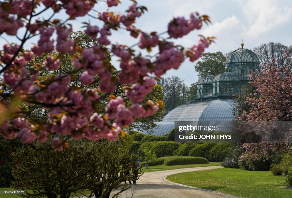 BELGIUM-ROYALS-GREENHOUSE