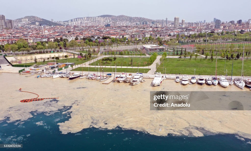 White layer formed on the sea in Anatolian side of Istanbul