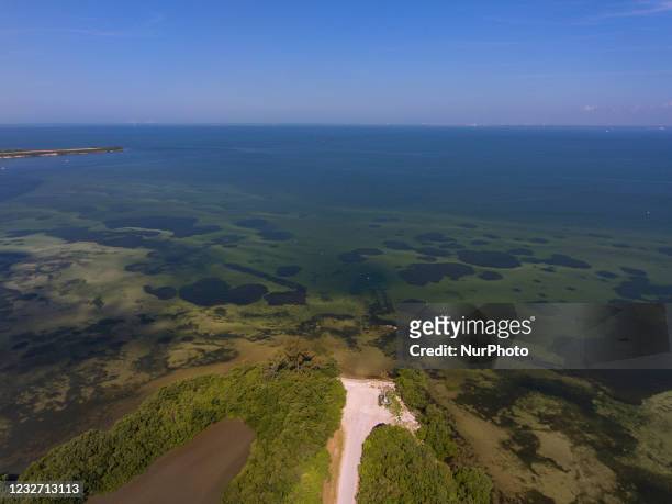 An aerial view of Tampa Bay near Port Manatee in Palmetto, Florida Tuesday, May 4, 2021. More than 200 million gallons of wastewater from Piney Point...