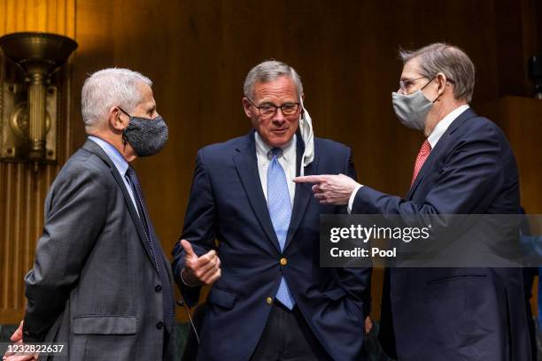 Anthony Fauci , Director of the National Institute of Allergy and Infectious Diseases at the National Institutes of Health , Republican Senator from...